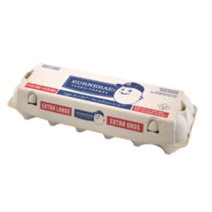 Yogourt iögo original vanille